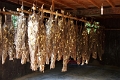 35_ile koh_chong_tissage_016
